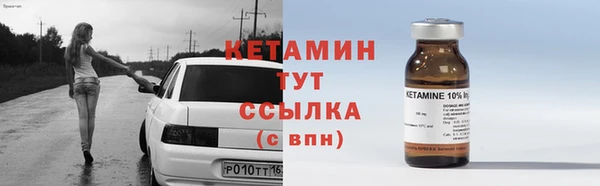 шишки Медвежьегорск