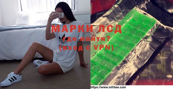 шишки Медвежьегорск