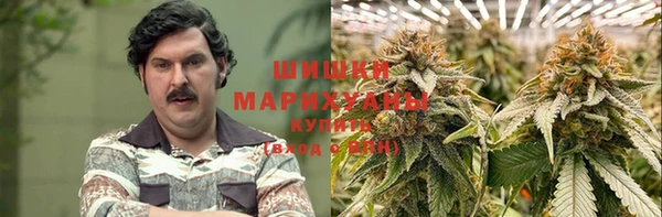 крисы Майский