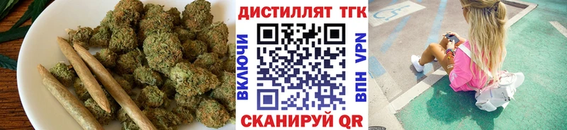 ТГК Wax Сясьстрой